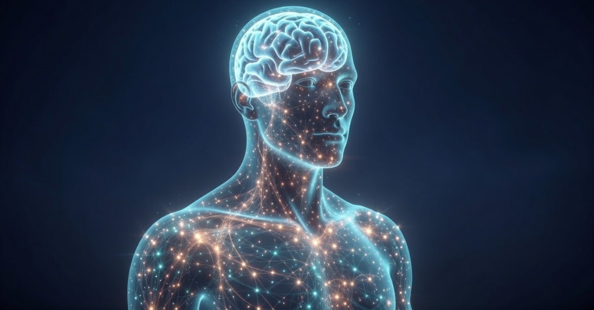 REAC-electric-biological-activity-and-functional-optimization