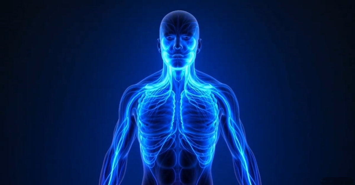 reac-technology-functional-optimization